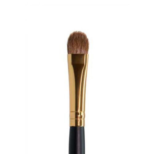 Ten Image Professional Makeup Brush PB-13 Shadows