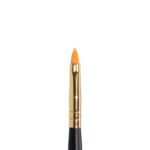 Ten Image Professional Makeup Brush PB-25 Lips