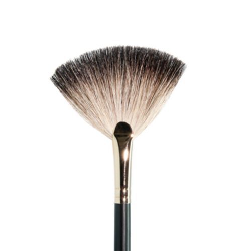 Ten Image Professional Makeup Brush PB-34 Large Fan